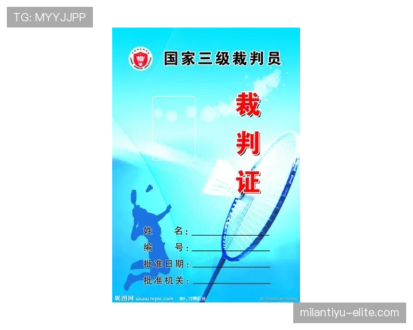 中立球规则：裁判何时判停并如何决定掉球归属